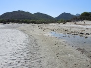 DSCN3909