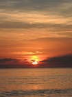 DSCN3961