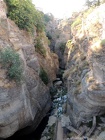 DSCN4626