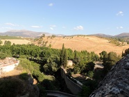 DSCN4629