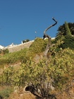 DSCN4684