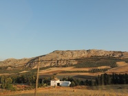 DSCN4696