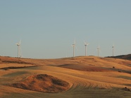 DSCN4708