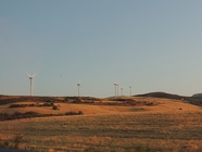 DSCN4709