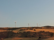 DSCN4710