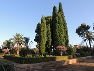 DSCN4722