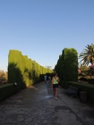 DSCN4723