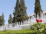 DSCN4958