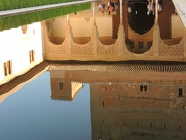 DSCN4770