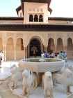 DSCN4783