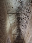 DSCN4796
