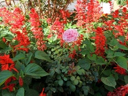 DSCN4809