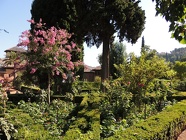 DSCN4824