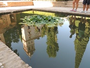 DSCN4825