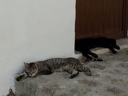 DSCN4983