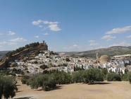 DSCN5003