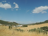 DSCN5007