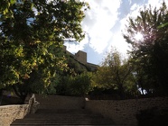 DSCN5012