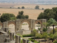 DSCN5241