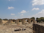 DSCN5246