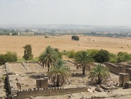 DSCN5255
