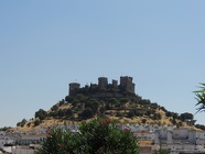 DSCN5263