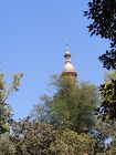 DSCN5702