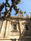 DSCN5636