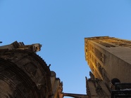 DSCN5278