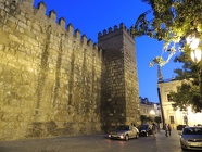 DSCN5285