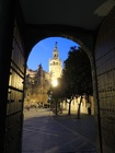 DSCN5286