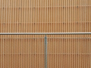 DSCN5382