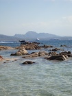DSC02476