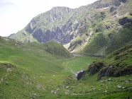 egua-40