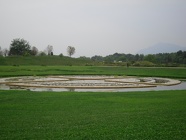 SDC10033