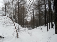 SDC10307