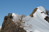 DSCN2612