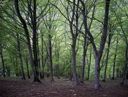 DSCN2509