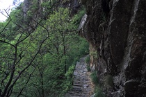 DSCN0800