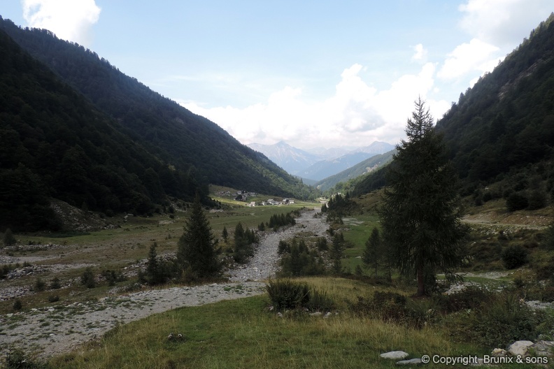 DSCN3954.JPG