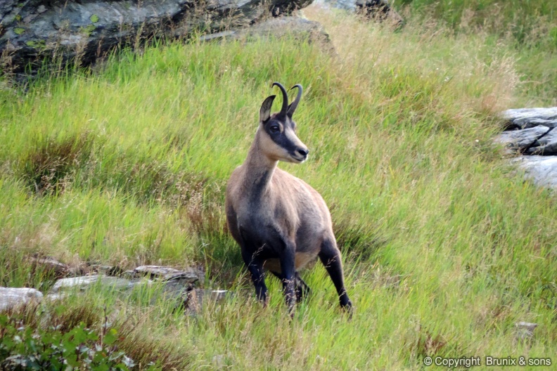 DSCN3903.JPG