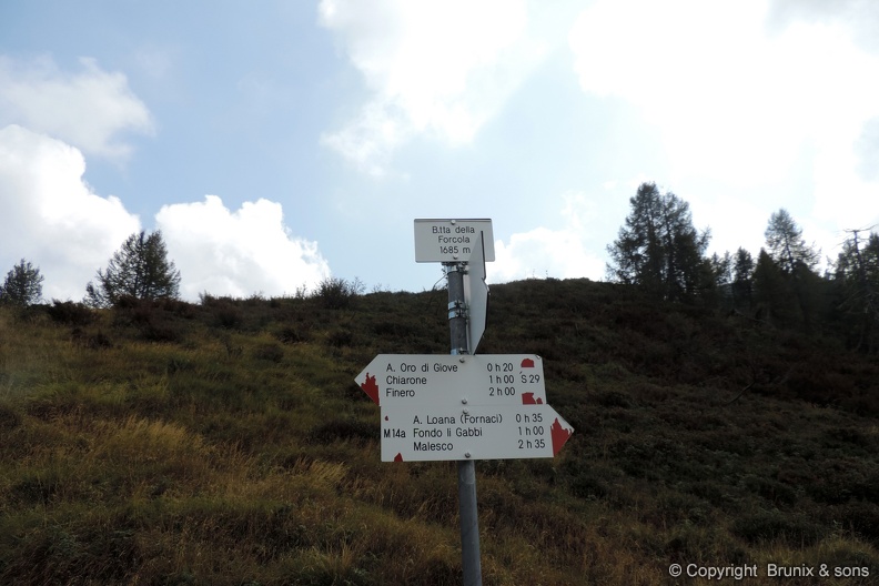 DSCN3946.JPG