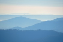DSCN5225