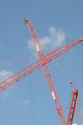 DSCN0534