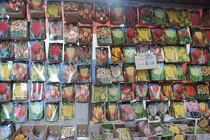 DSCN0376