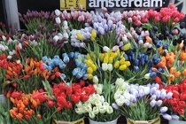 DSCN0377