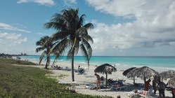 IMG_20190118_132933