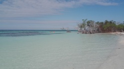 IMG_20190113_135054