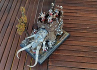 IMG_20200824_154246