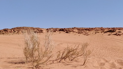 Wadi Rum Vale-08